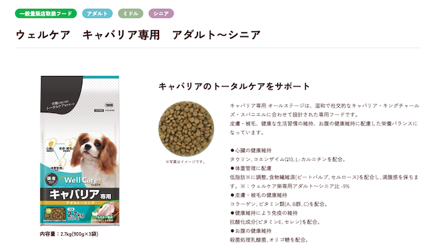 ウェルケア　キャバリア専用　アダルト〜シニア